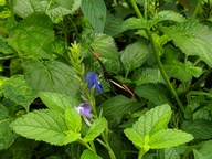 img_20180825_120916_thumb.jpg