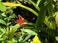 img_20180825_121044_thumb.jpg