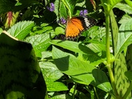 img_20180825_121157_thumb.jpg