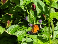 img_20180825_121200_thumb.jpg