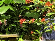 img_20180825_121241_thumb.jpg