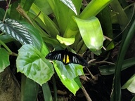 img_20180825_121333_thumb.jpg