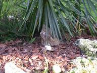 dscn1782_thumb.jpg