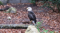 img_3568_thumb.jpg