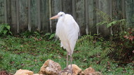 img_3569_thumb.jpg