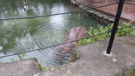 img_3574_thumb.jpg