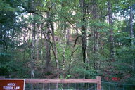 letchworth_mound_thumb.png