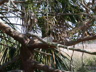 dscn2922_thumb.jpg