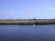 dscn2927_thumb.jpg