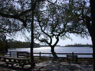 dscn2928_thumb.jpg