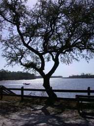 dscn2930_thumb.jpg
