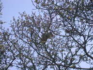 dscn2933_thumb.jpg