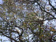 dscn2935_thumb.jpg