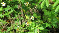 img_1760_thumb.jpg