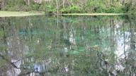 img_1764_thumb.jpg