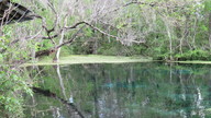 img_1766_thumb.jpg