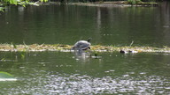 img_1769_thumb.jpg