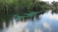 img_1773_thumb.jpg