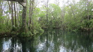 img_1776_thumb.jpg