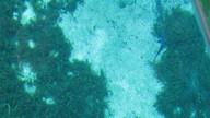 img_1781_thumb.jpg