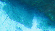 img_1782_thumb.jpg