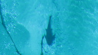 img_1784_thumb.jpg