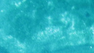 img_1785_thumb.jpg