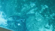 img_1786_thumb.jpg