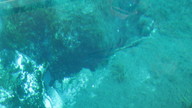 img_1788_thumb.jpg