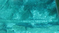 img_1789_thumb.jpg
