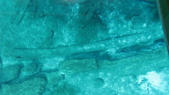 img_1790_thumb.jpg