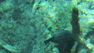 img_1791_thumb.jpg