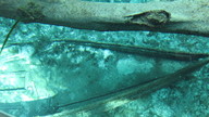 img_1793_thumb.jpg