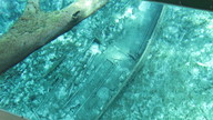 img_1794_thumb.jpg
