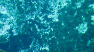 img_1795_thumb.jpg