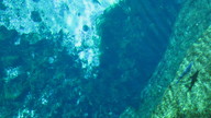 img_1796_thumb.jpg