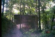 suwannee_river_sp1_thumb.jpg