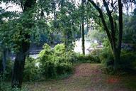 suwannee_river_sp2_thumb.jpg