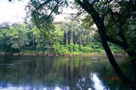 suwannee_river_sp4_thumb.jpg