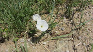 img_1632_thumb.jpg