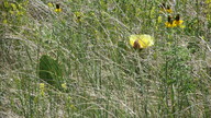 img_1688_thumb.jpg