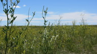 img_1689_thumb.jpg