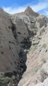 img_1745_thumb.jpg