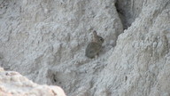 img_1857_thumb.jpg