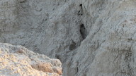 img_1858_thumb.jpg