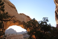 img_9090_thumb.jpg