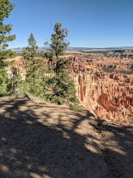 pxl_20231013_161738896_thumb.jpg