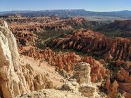 pxl_20231013_164250502_thumb.jpg