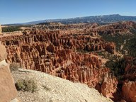 pxl_20231013_165608275_thumb.jpg