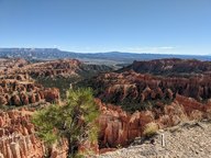 pxl_20231013_170822234_thumb.jpg